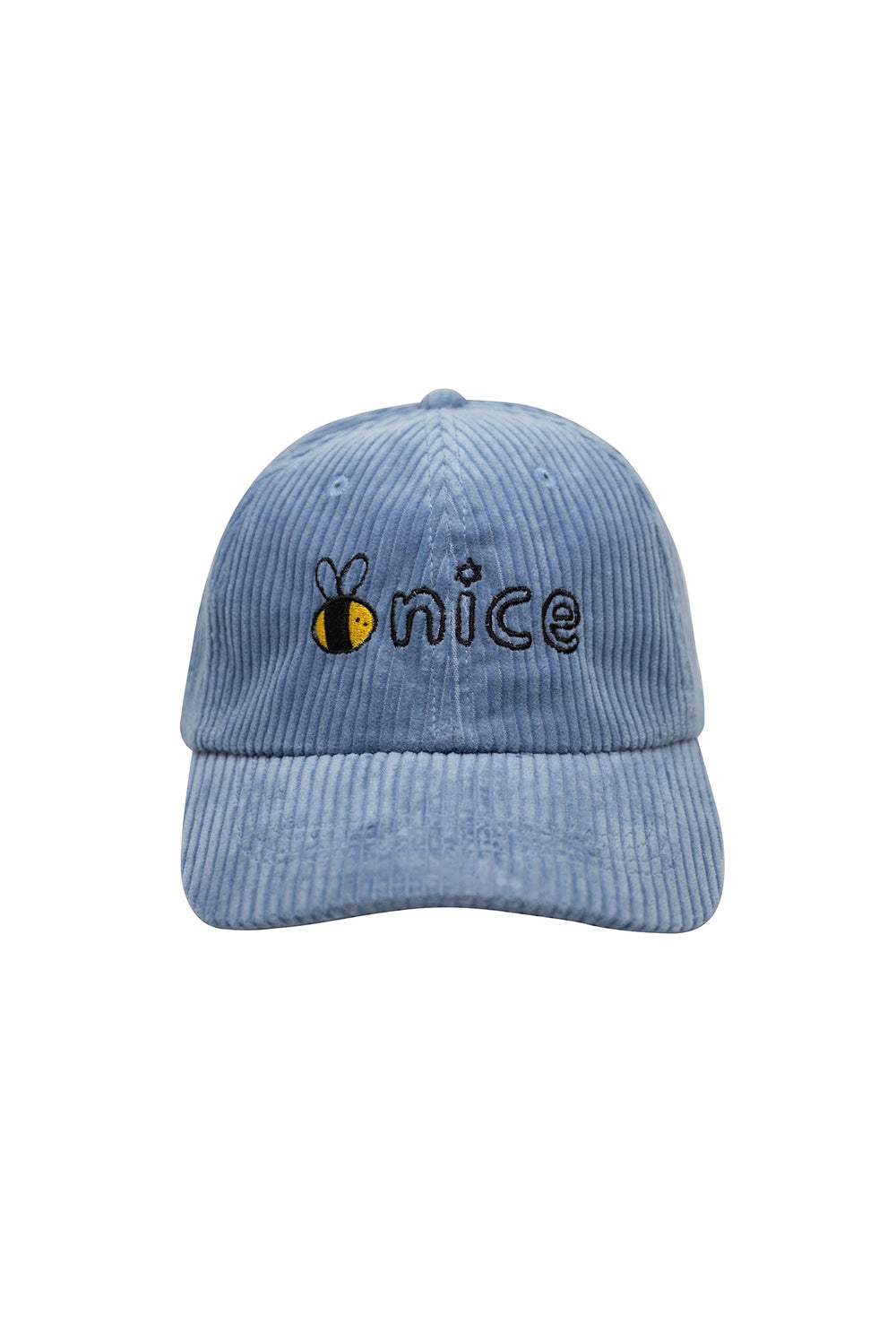 Corduroy Dad Hat in Light Blue